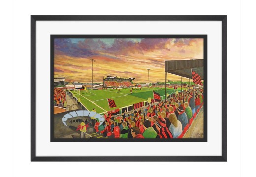 Seaview Stadium Fine Art Print - Crusaders FC Seaview Stadium Fine Art Print - Crusaders FC